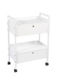 Beauty Trolley Tau