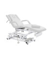 Electric Massage Table Acrum