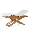 Electric Spa Treatment Table Cyx