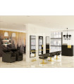 Salon Furniture Package Chic
