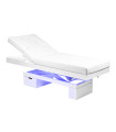 Electric Spa Treatment Table Color-Therapy Limb